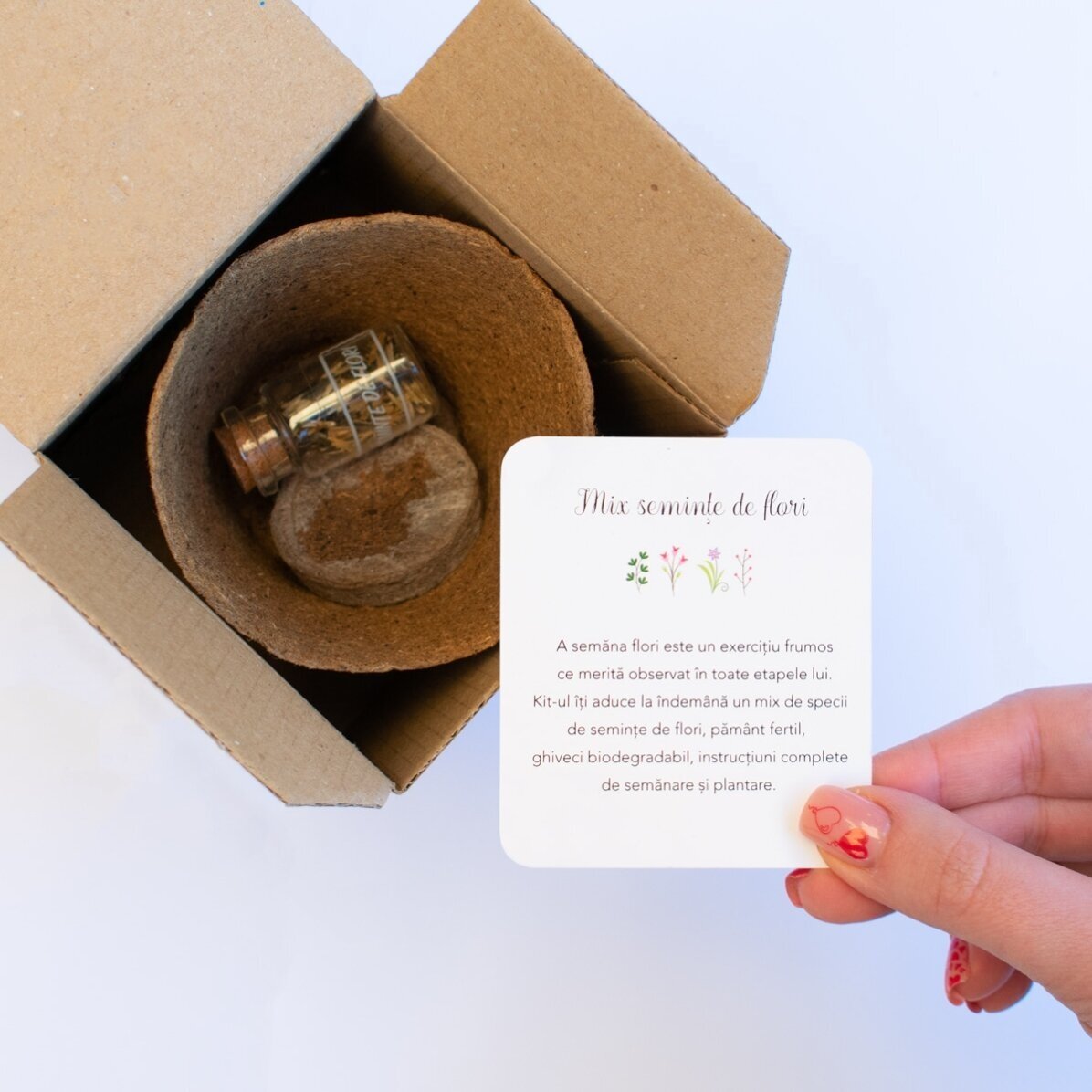 Kit pour planter des fleurs de printemps dans une petite boîte personnalisée avec un message pour le