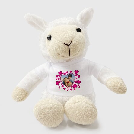 Plus een gepersonaliseerd schaapje met roze hartjes en een foto