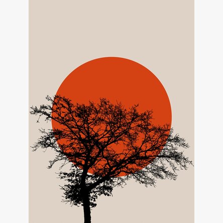 Poster Samenvatting Zon
