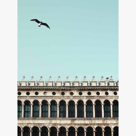 Affiche représentant un oiseau et un bâtiment