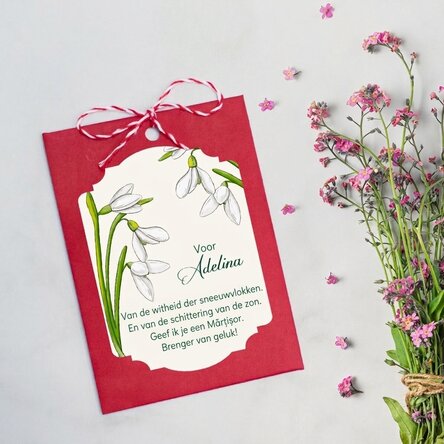 Gepersonaliseerde Martisor om in de grond te planten met een boodschap voor collega's - Sneeuwklokje