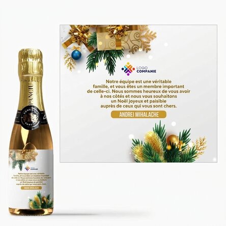 Mini-bouteille de vin mousseux personnalisée avec un message et un logo - Une histoire de fête