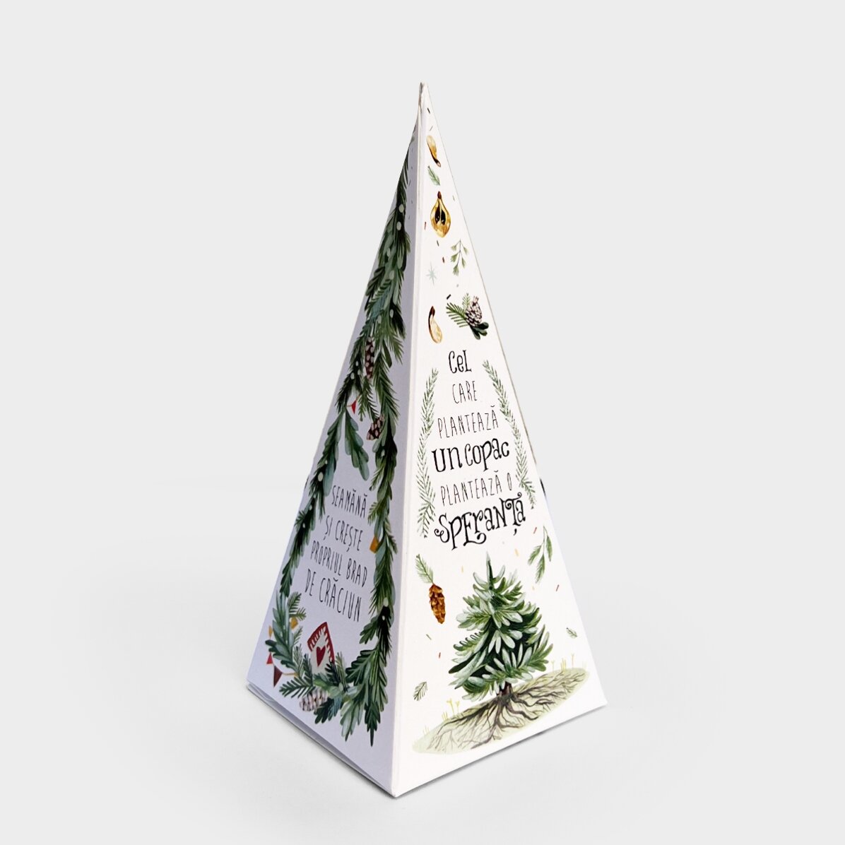 Gepersonaliseerde kerstboom-plantset met monogram