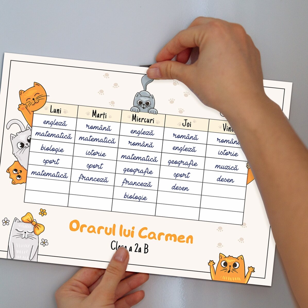 Emploi du temps personnalisé avec texte - Kittens
