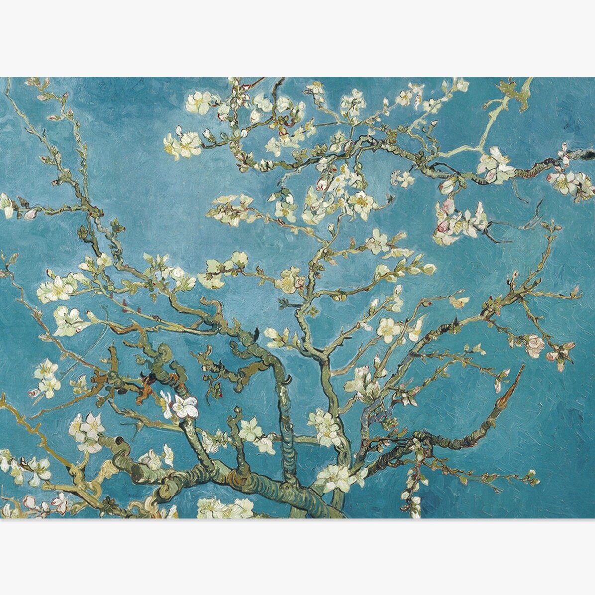 Affiche au format paysage - Vincent Van Gogh - Branches d
