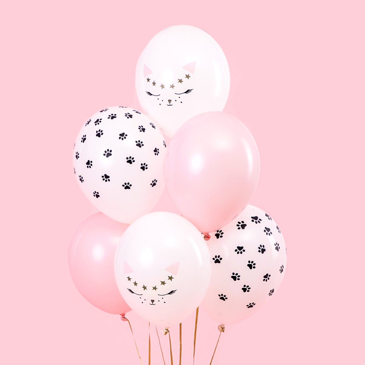 Lot de 6 ballons assortis - Chatonnets
