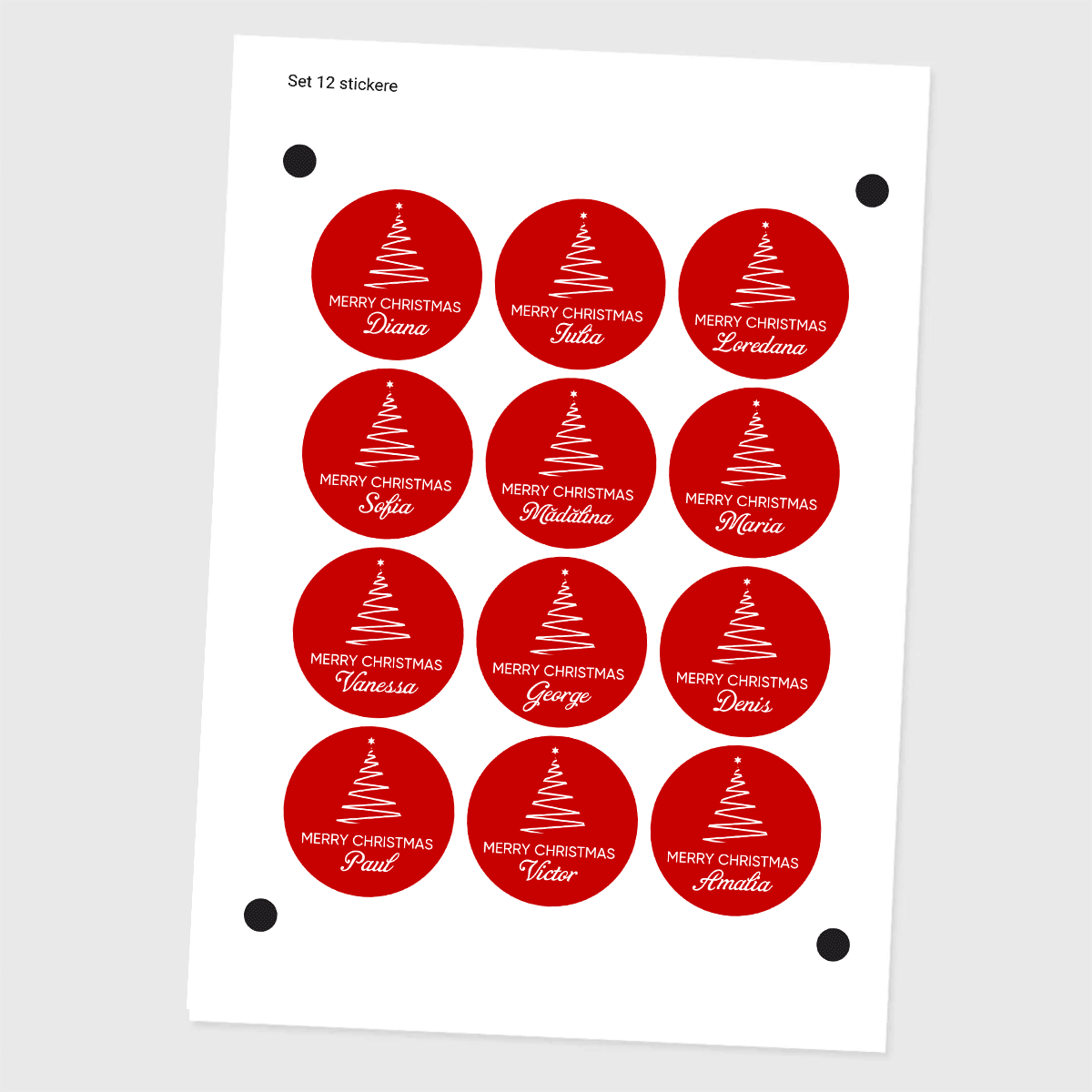 Set van 12 gepersonaliseerde stickers (zelfklevende etiketten) met een boodschap - Kerstmis