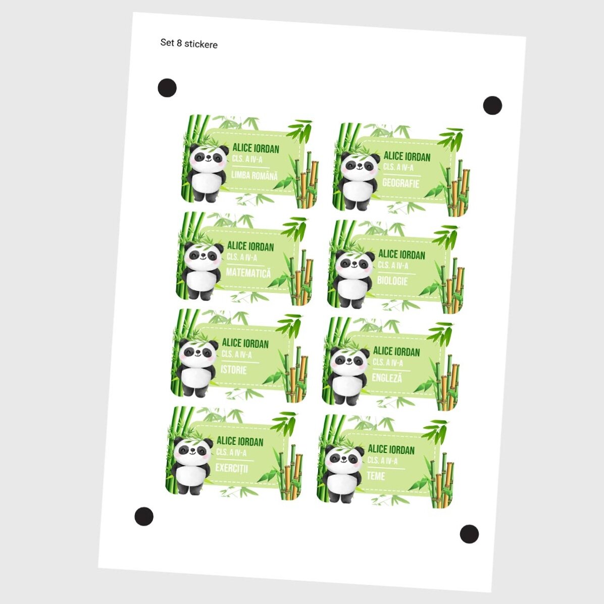 Set van 8 gepersonaliseerde stickers (zelfklevende etiketten) voor school - Cute Panda