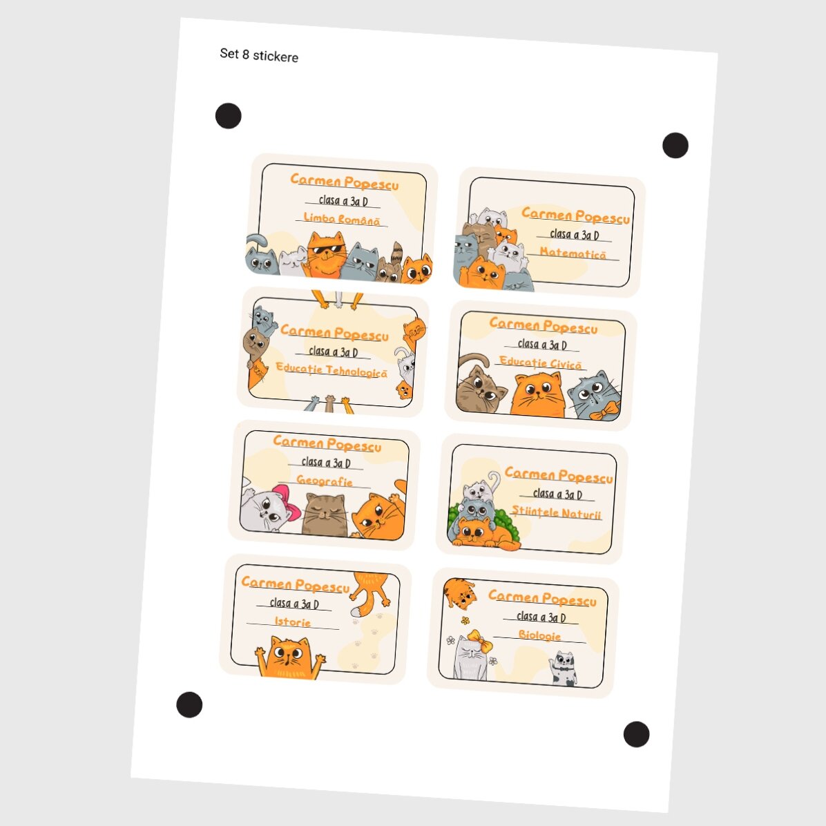 Set van 8 gepersonaliseerde stickers (zelfklevende etiketten) voor school met tekst - Kittens
