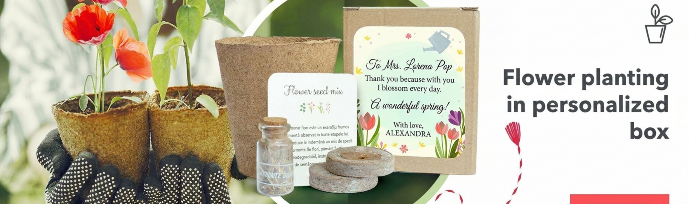 Kits de plantation de fleurs dans une boîte personnalisée