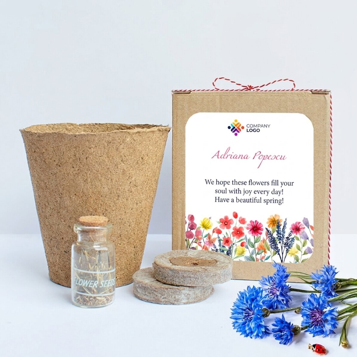 Kit de plantation de fleurs de printemps dans une petite boîte personnalisée avec un logo et un mess