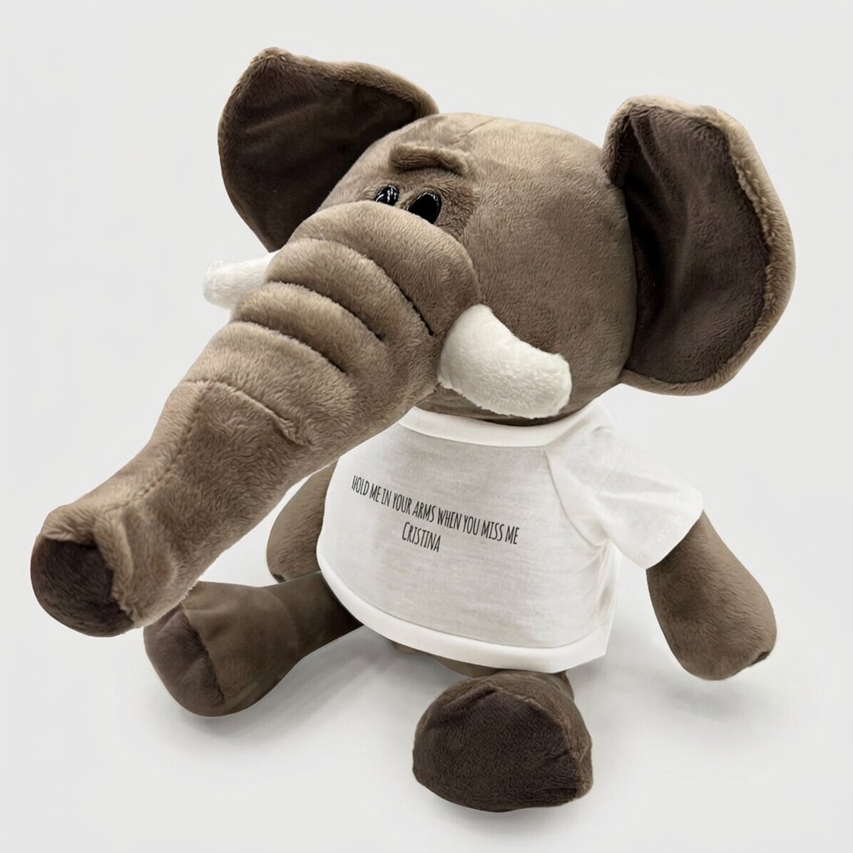 Plus: gepersonaliseerde olifant met boodschap