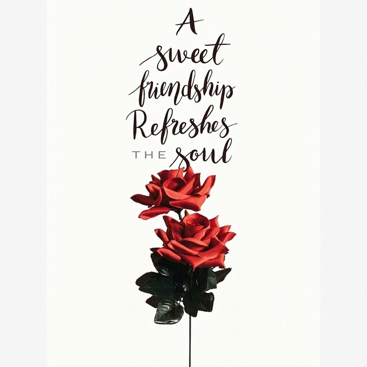Poster ‘Vriendschap’ met rozen