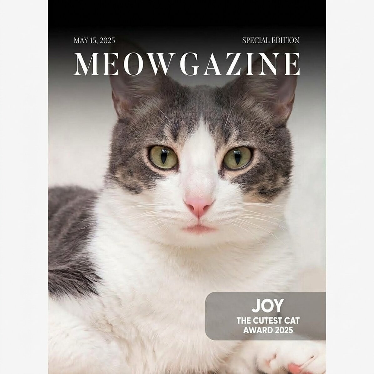 Affiche personnalisée avec photo et texte - Meowgazine